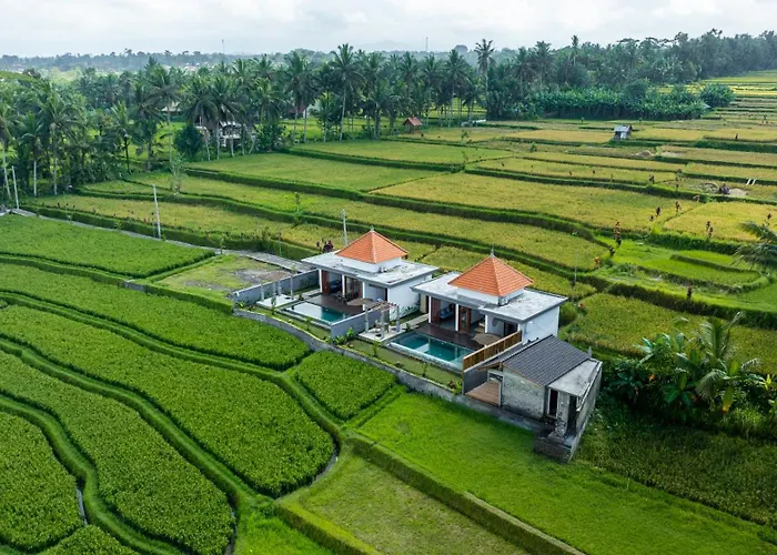 Alam Dana 乌布